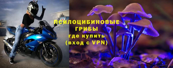 молекула духа Осташков