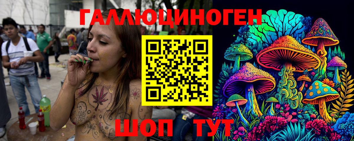 Галлюциногенные грибы GOLDEN TEACHER  Вход с VPN  Алейск  Псилоцибиновые грибы Magic Shrooms 